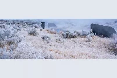 67254 Hwy 299 E, Cedarville, CA 96104 - Photo 18