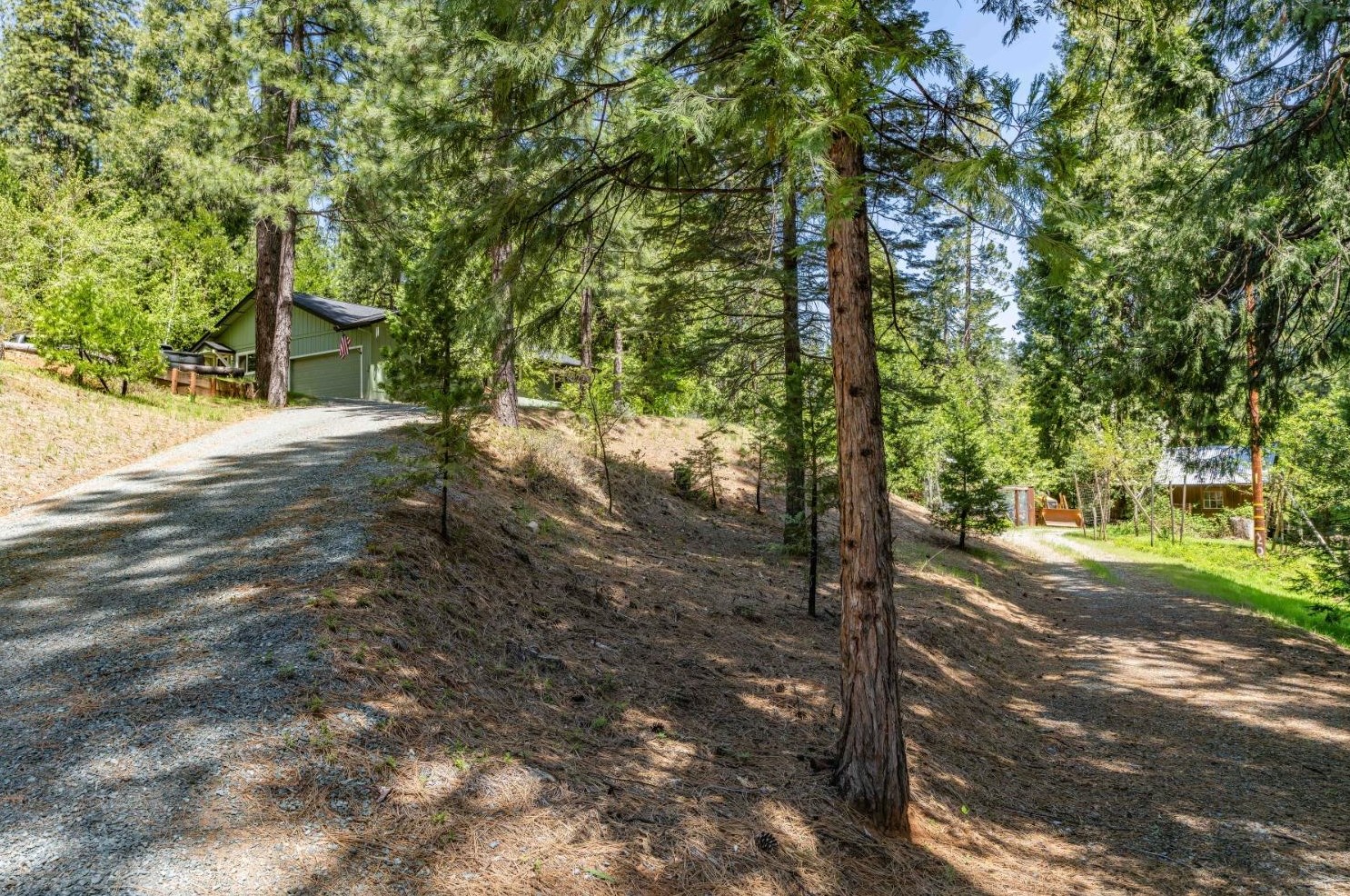 26699 Spg Rd, Pioneer CA  95666-9599 exterior