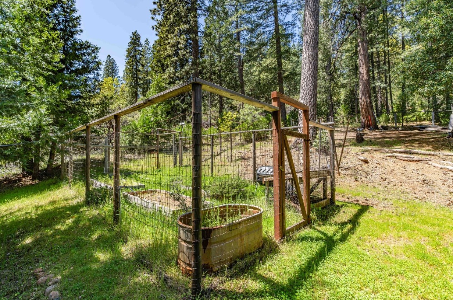 26699 Spg Rd, Pioneer CA  95666-9599 exterior