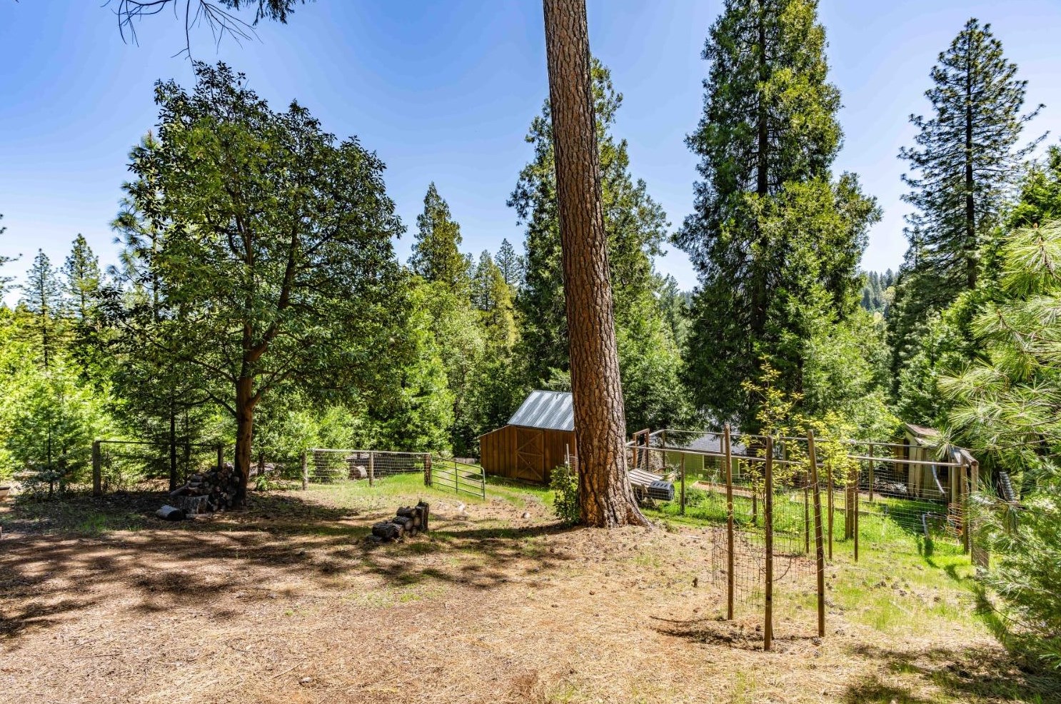 26699 Spg Rd, Pioneer CA  95666-9599 exterior