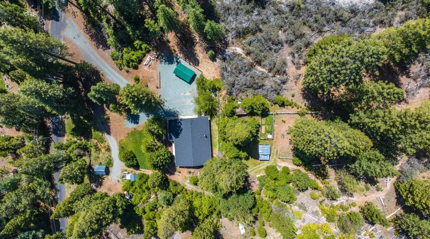 26699 Spg Rd, Pioneer CA  95666-9599 exterior