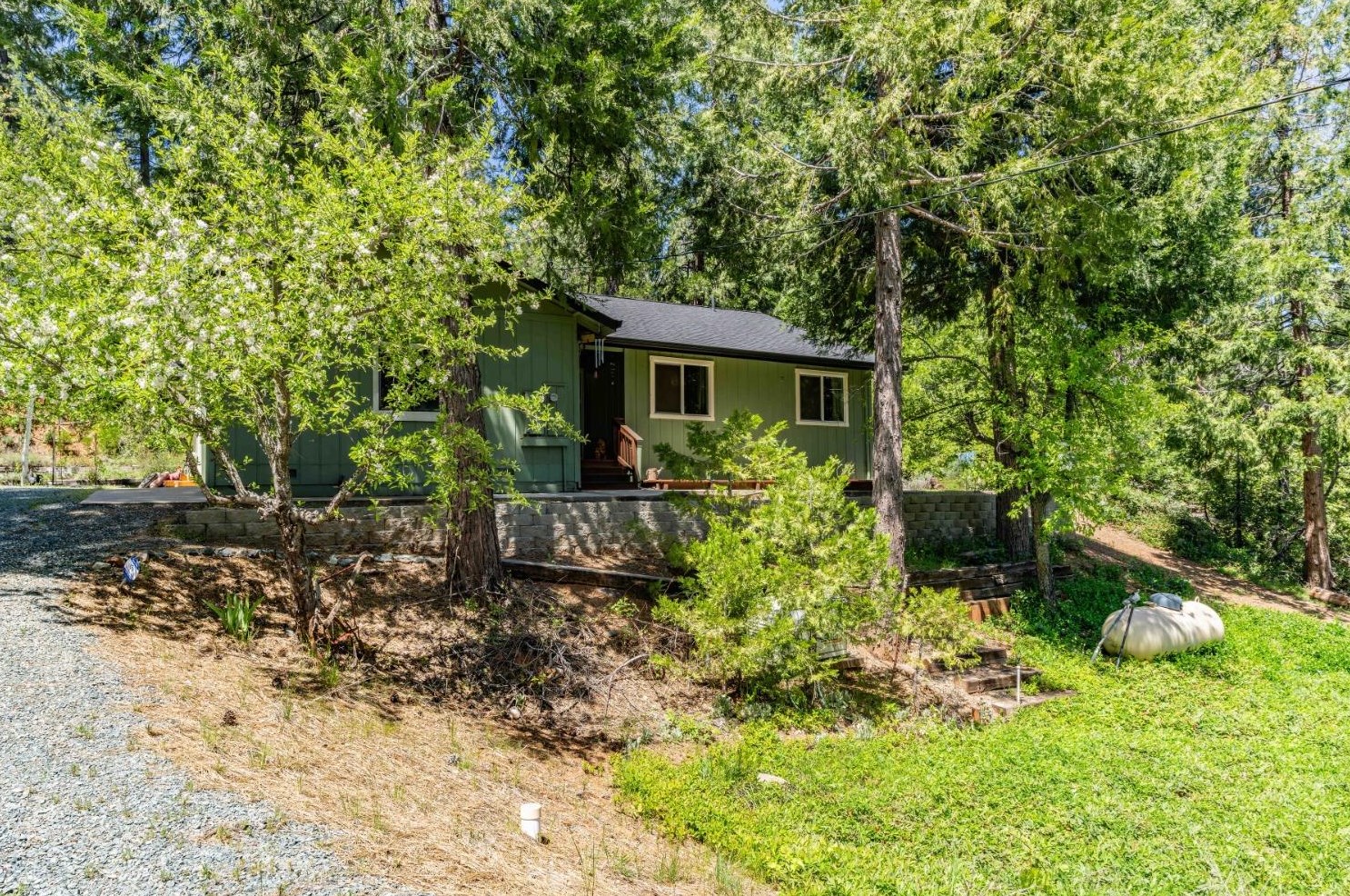 26699 Spg Rd, Pioneer CA  95666-9599 exterior