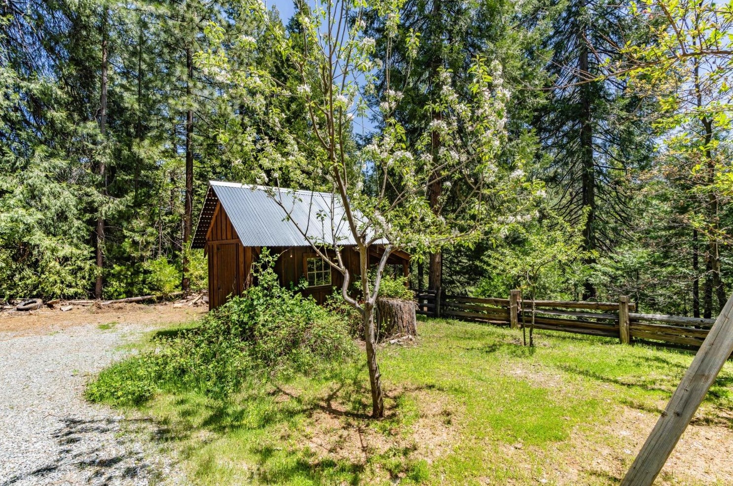 26699 Spg Rd, Pioneer CA  95666-9599 exterior