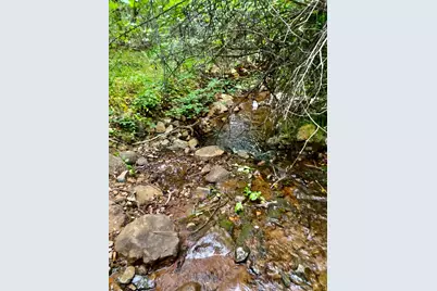 16275 Wildrose Way, Brownsville, CA 95919 - Photo 4