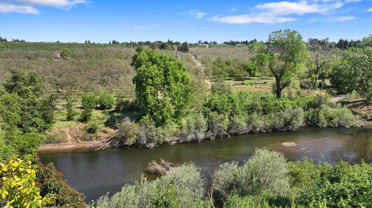 1298 Riv Blf Dr, Valley Home CA 95361-2678 exterior