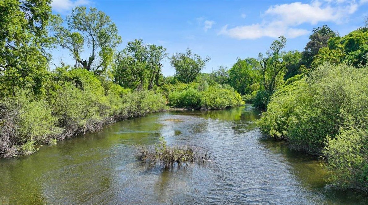 1298 Riv Blf Dr, Valley Home CA 95361-2678 exterior