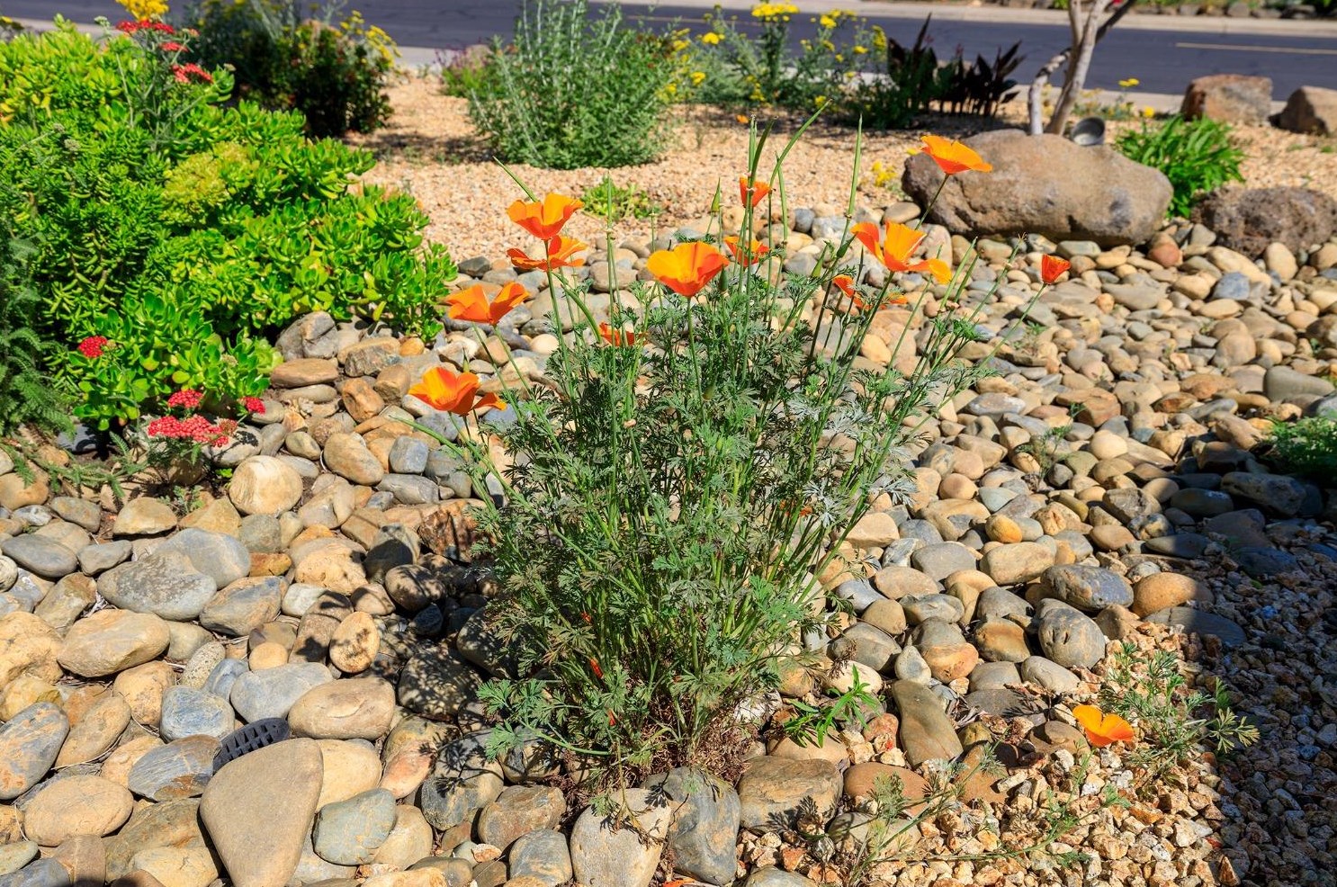 1103 Riv Blf Dr, Valley Home CA 95361-2657 exterior