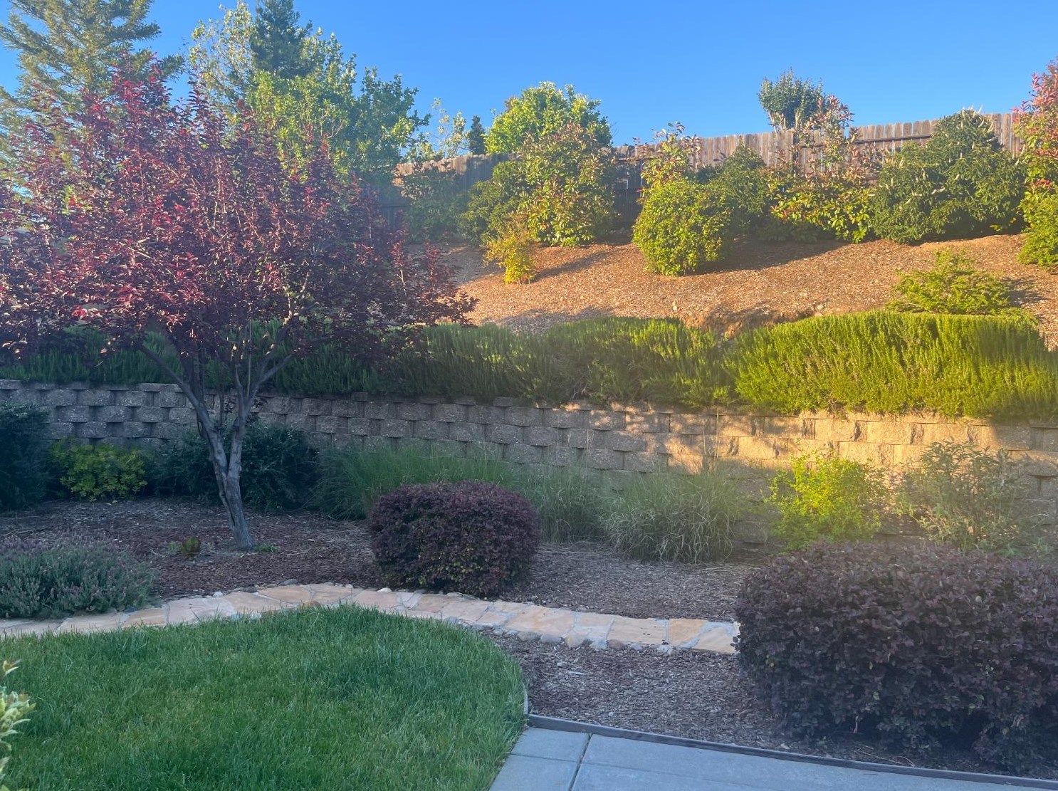 2101 Lysander Way, Roseville CA 95661-3220 exterior