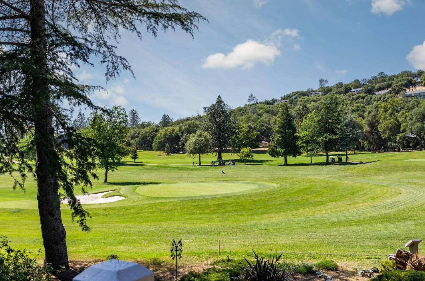 18790 Chickadee Ct, Lake Wildwood, CA 95946-9644
