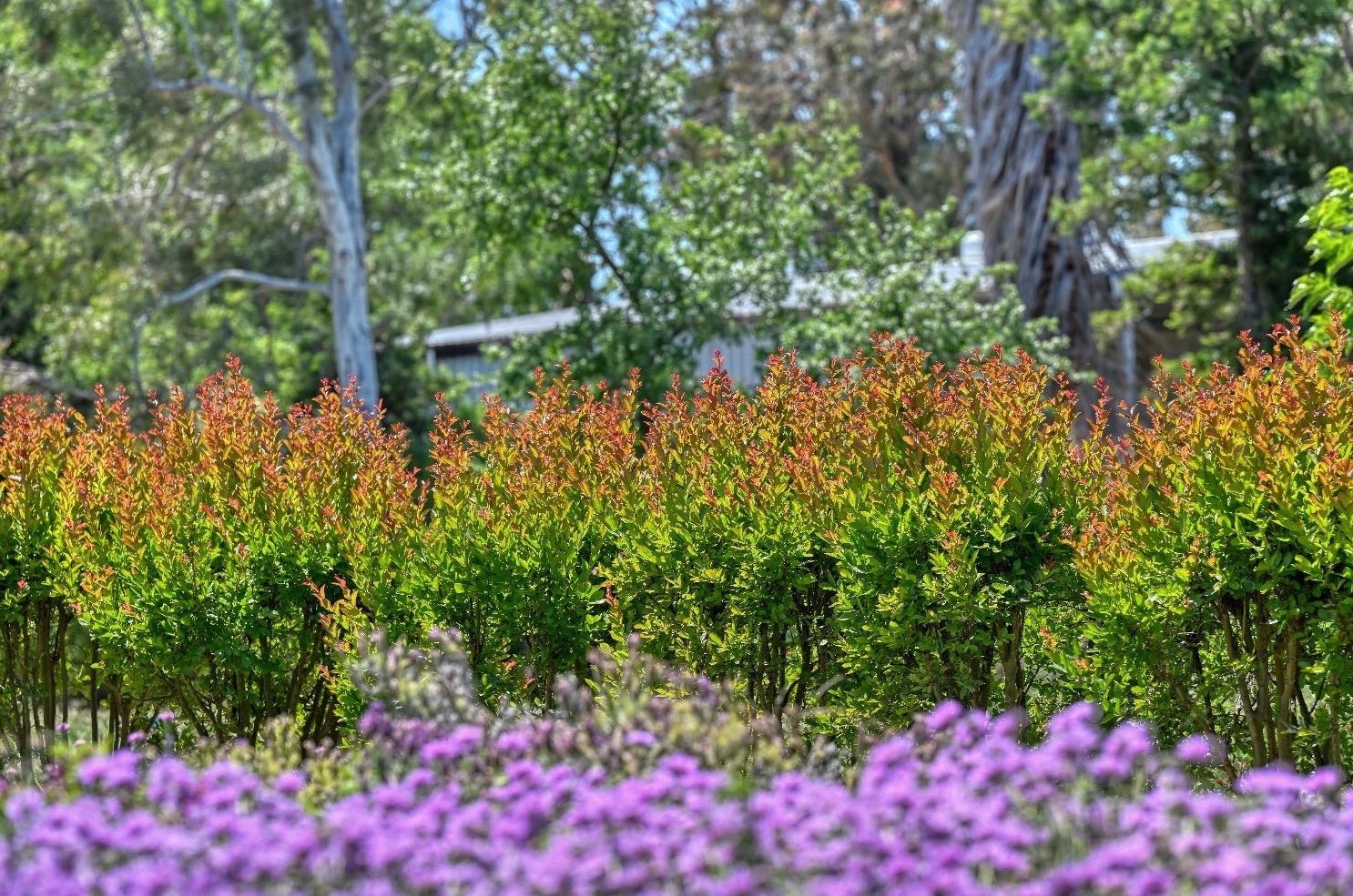 34284 Corcoran Hill Ln, Davis CA 95616-9407 exterior