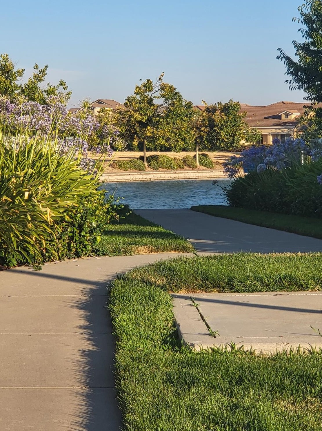 4386 Libyan Sea Ln, Sacramento, CA 95834-7516