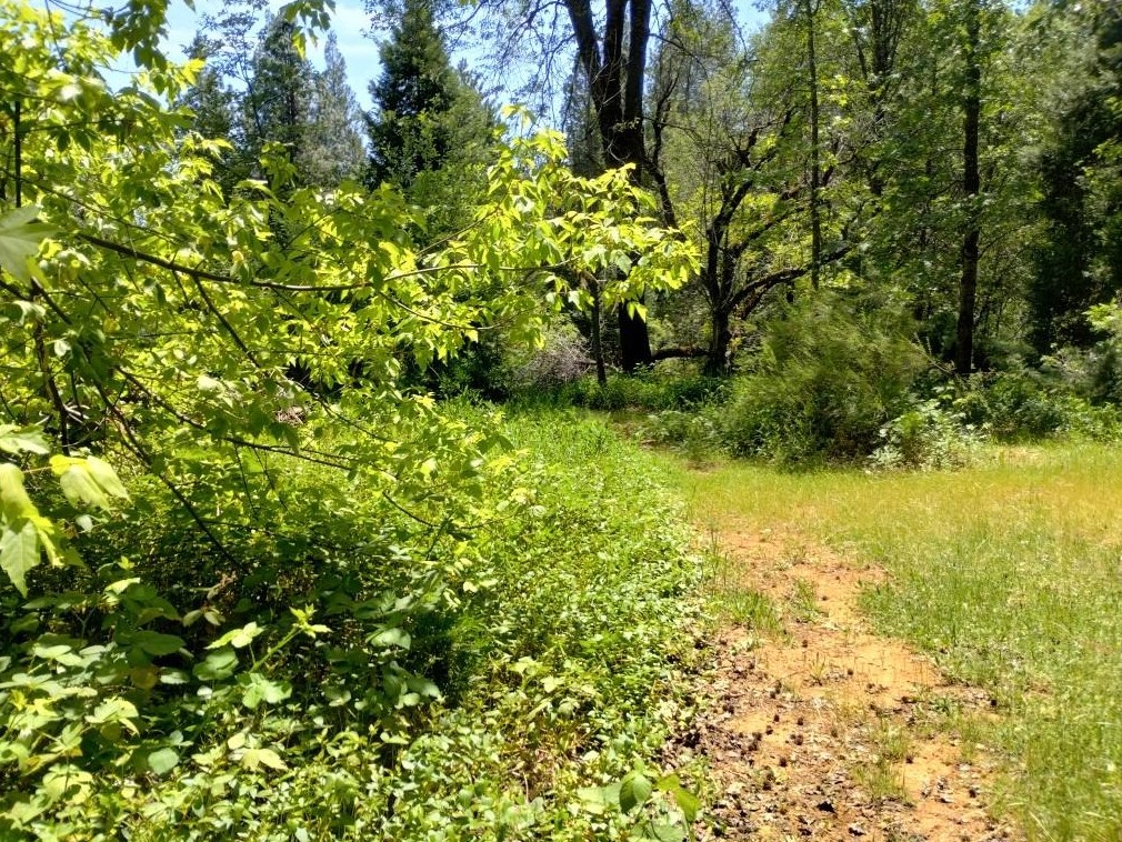 11289 Sundown Pl, Grass Valley CA  95945-9510 exterior