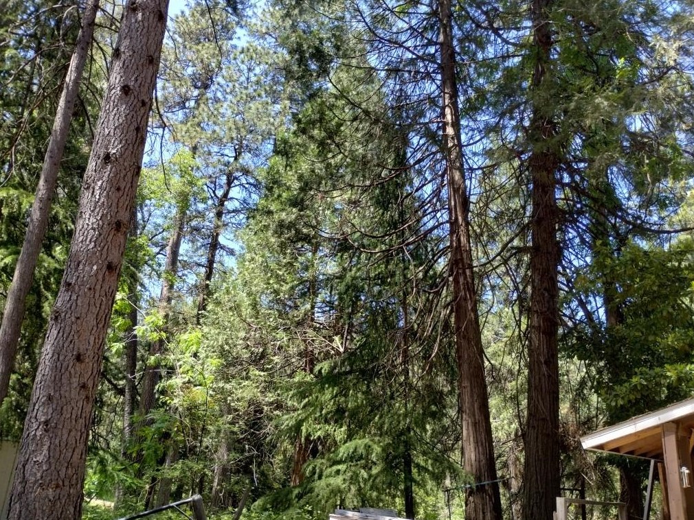 11289 Sundown Pl, Grass Valley CA  95945-9510 exterior