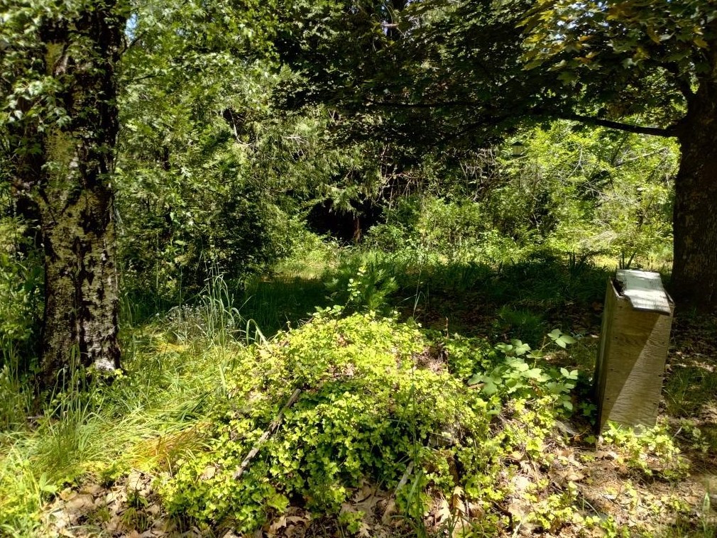 11289 Sundown Pl, Grass Valley CA  95945-9510 exterior