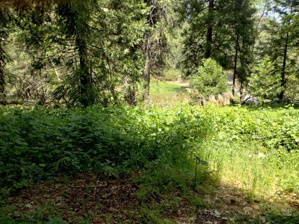 11289 Sundown Pl, Grass Valley CA  95945-9510 exterior