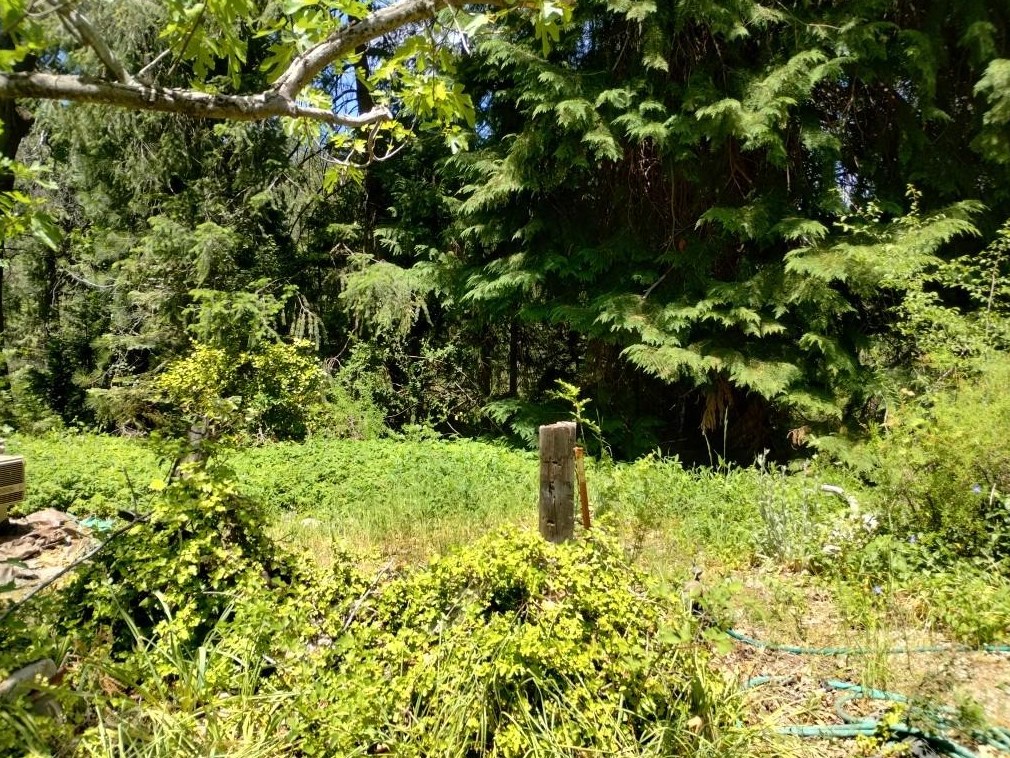 11289 Sundown Pl, Grass Valley CA  95945-9510 exterior