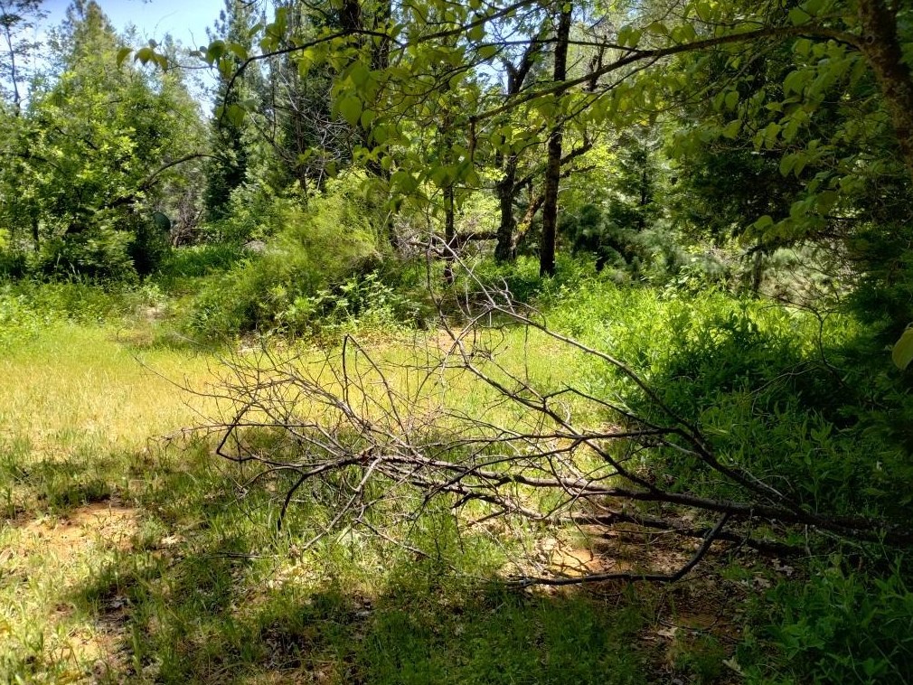 11289 Sundown Pl, Grass Valley CA  95945-9510 exterior