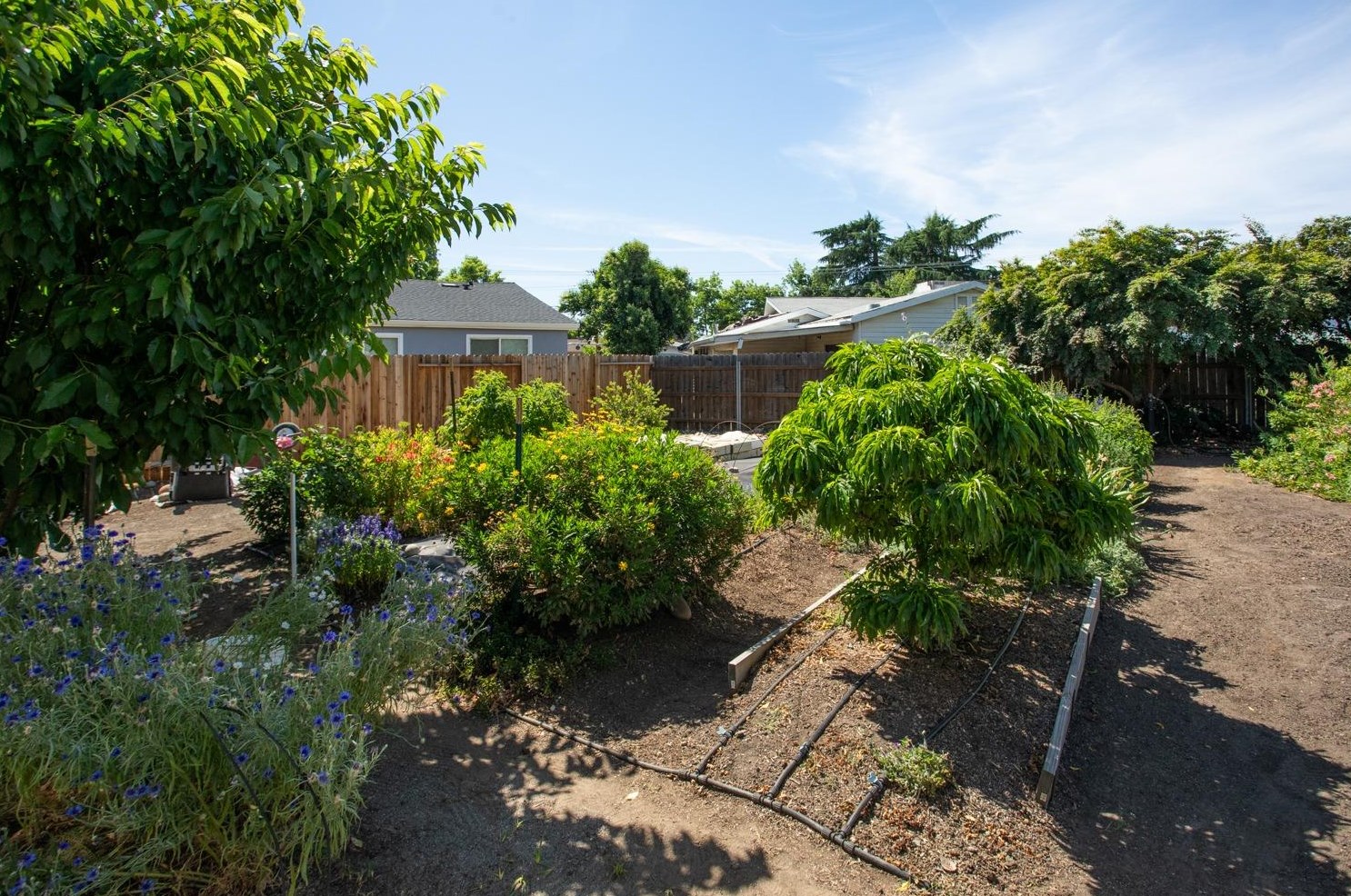 544 Laurel Dr, Yuba City CA  95991-6210 exterior