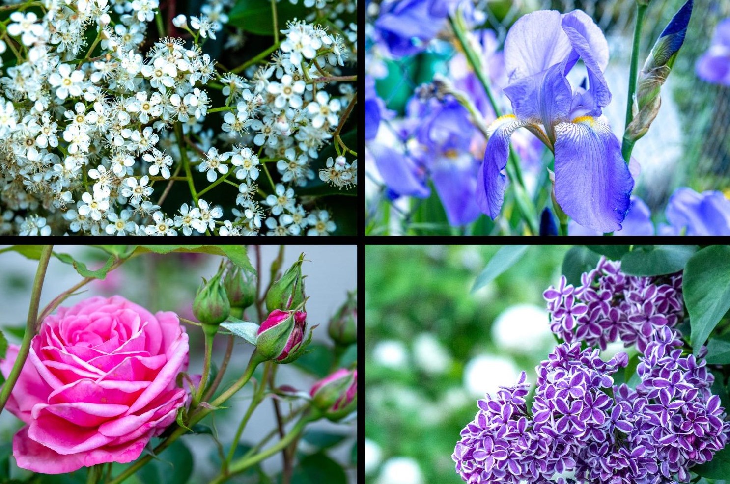 110 Maryland Dr, Grass Valley CA  95945-5902 exterior