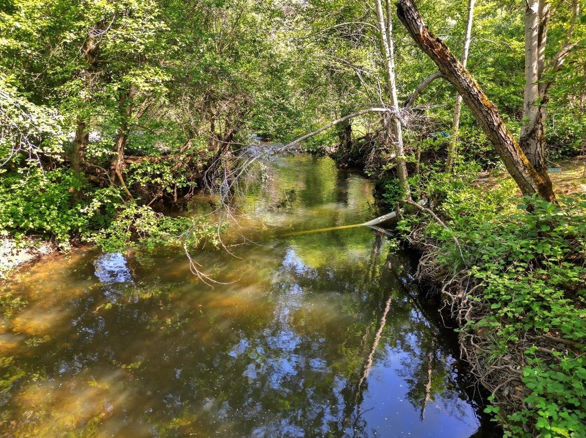 10334 Pleasant Vly Rd, Lake Wildwood CA  95946-9425 exterior