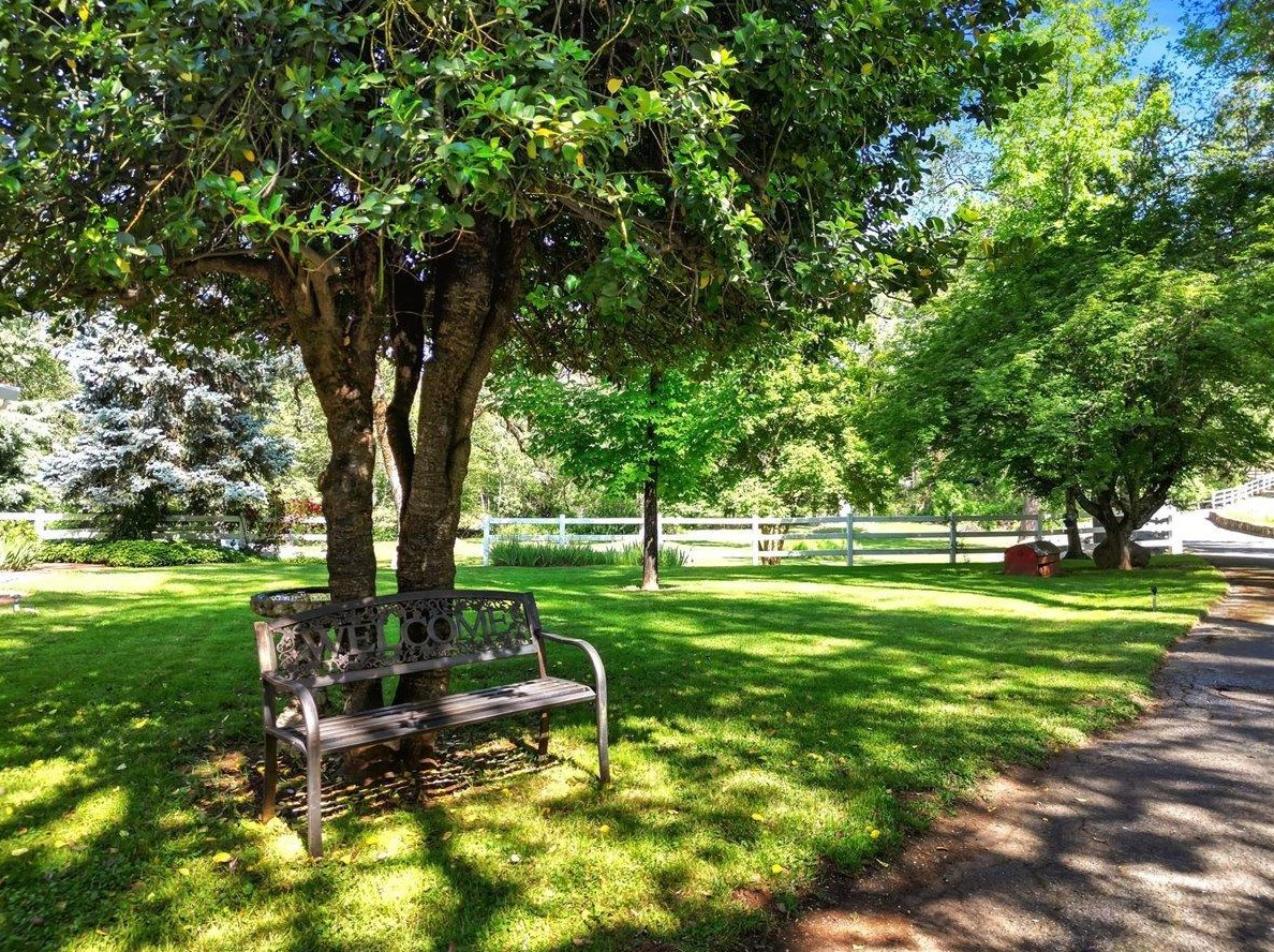 10334 Pleasant Vly Rd, Lake Wildwood CA  95946-9425 exterior