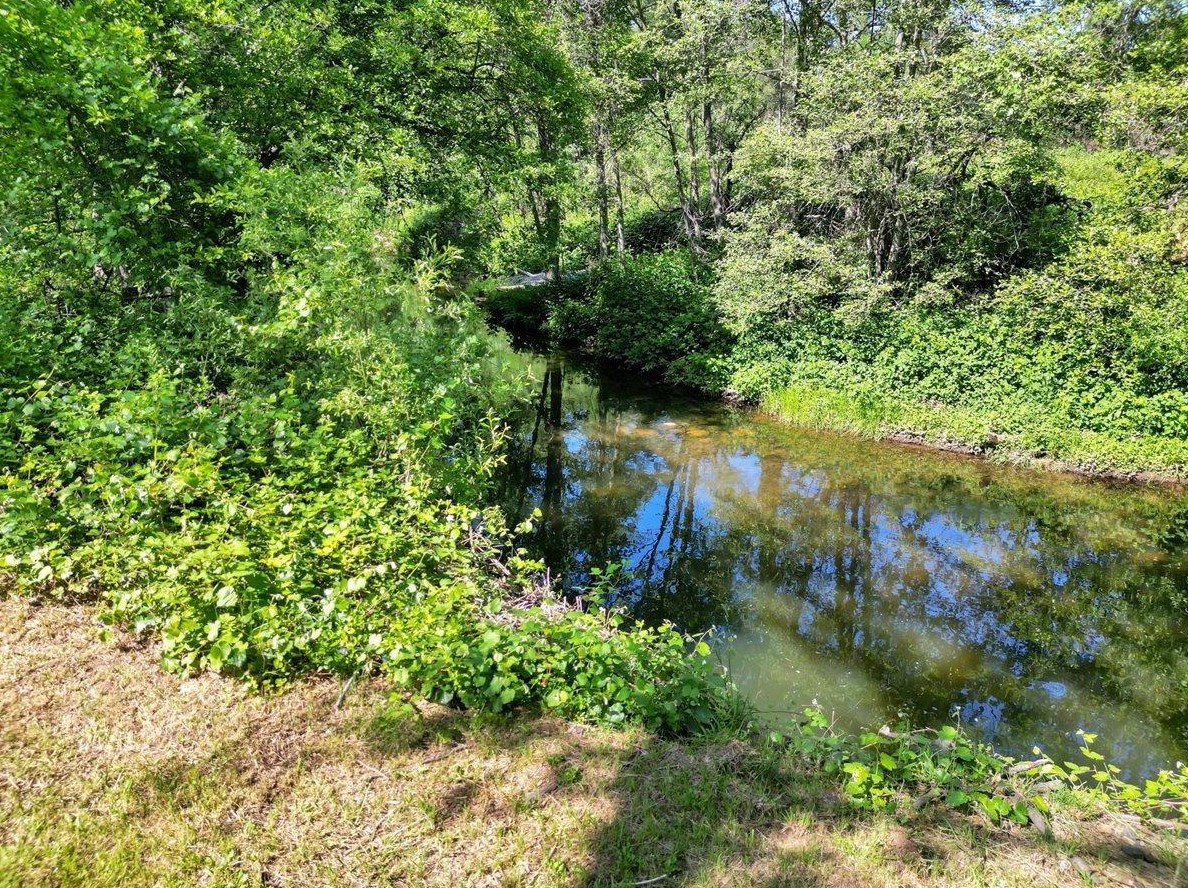 10334 Pleasant Vly Rd, Lake Wildwood CA  95946-9425 exterior