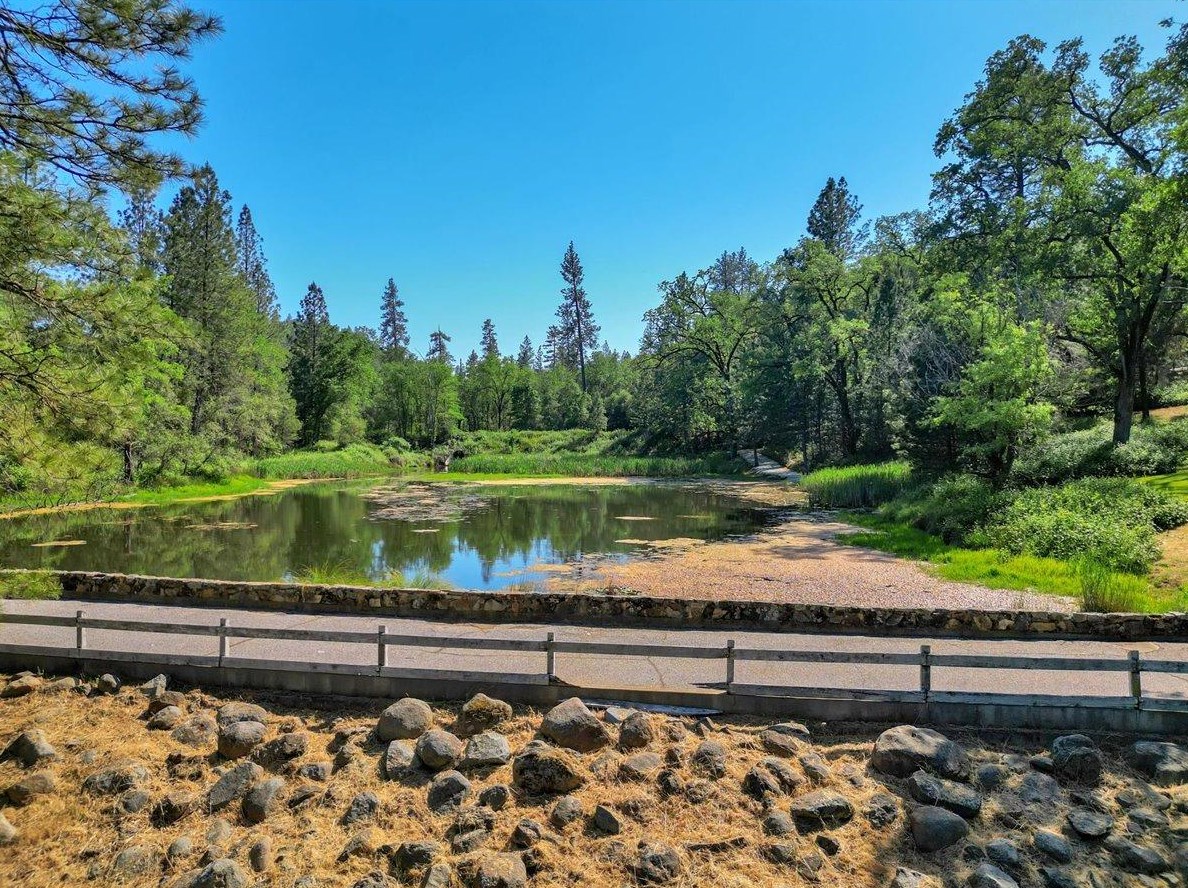 10334 Pleasant Valley Rd, Lake Wildwood, CA 95946-9494