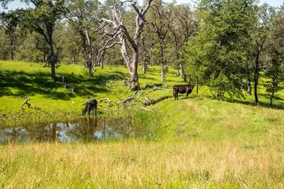 8591 Hogan Dam Road, Valley Springs, CA 95252 - Photo 76