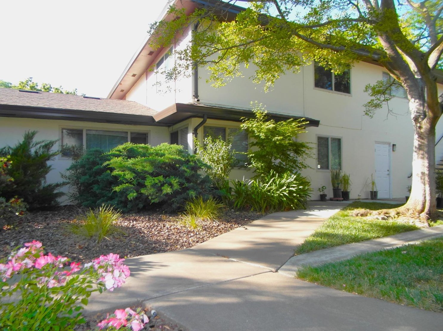 2708 Pole Line Rd, Davis, CA 95618-0361