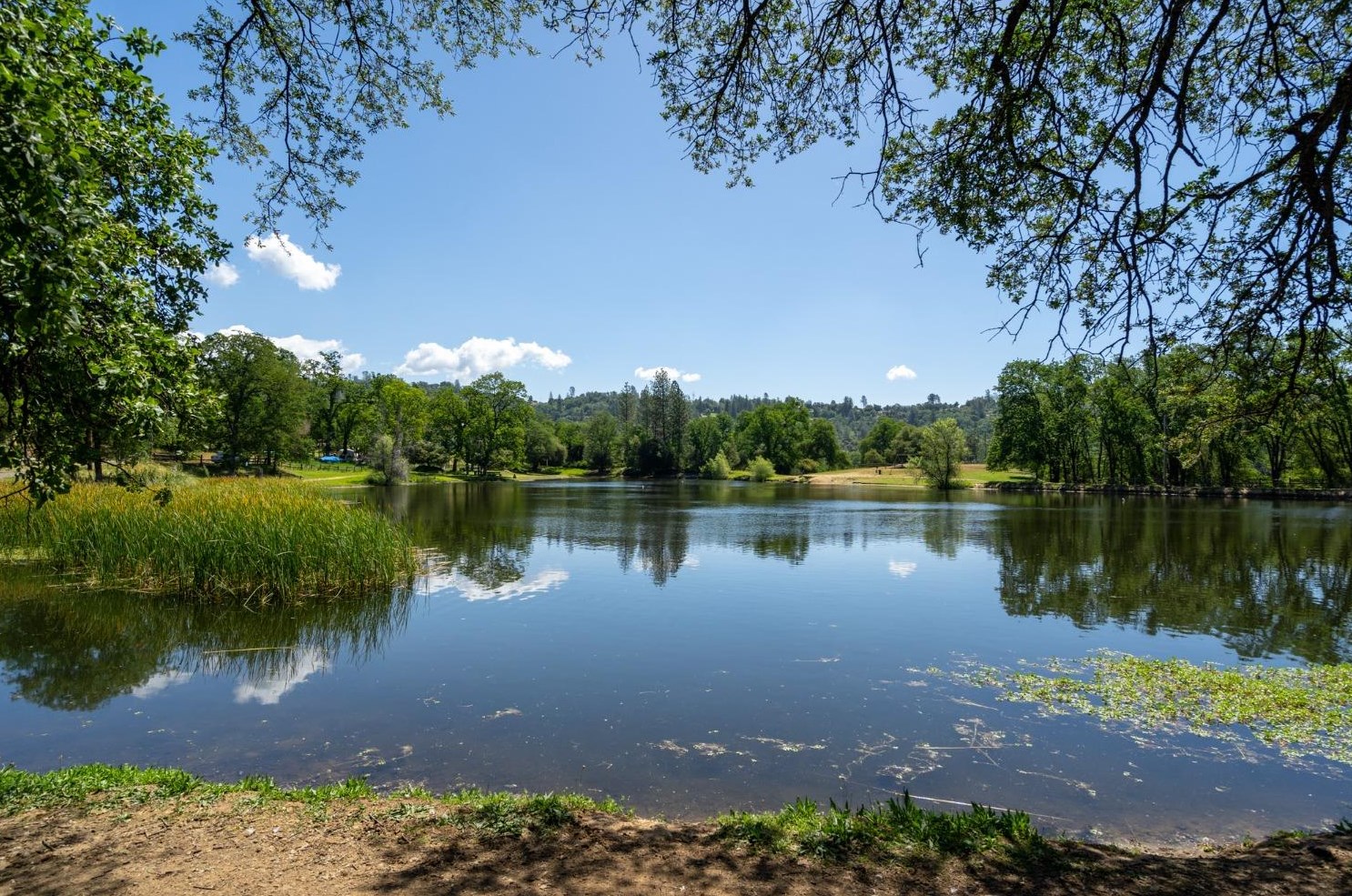 20680 Kings Ct, Soulsbyville, CA 95372-9782