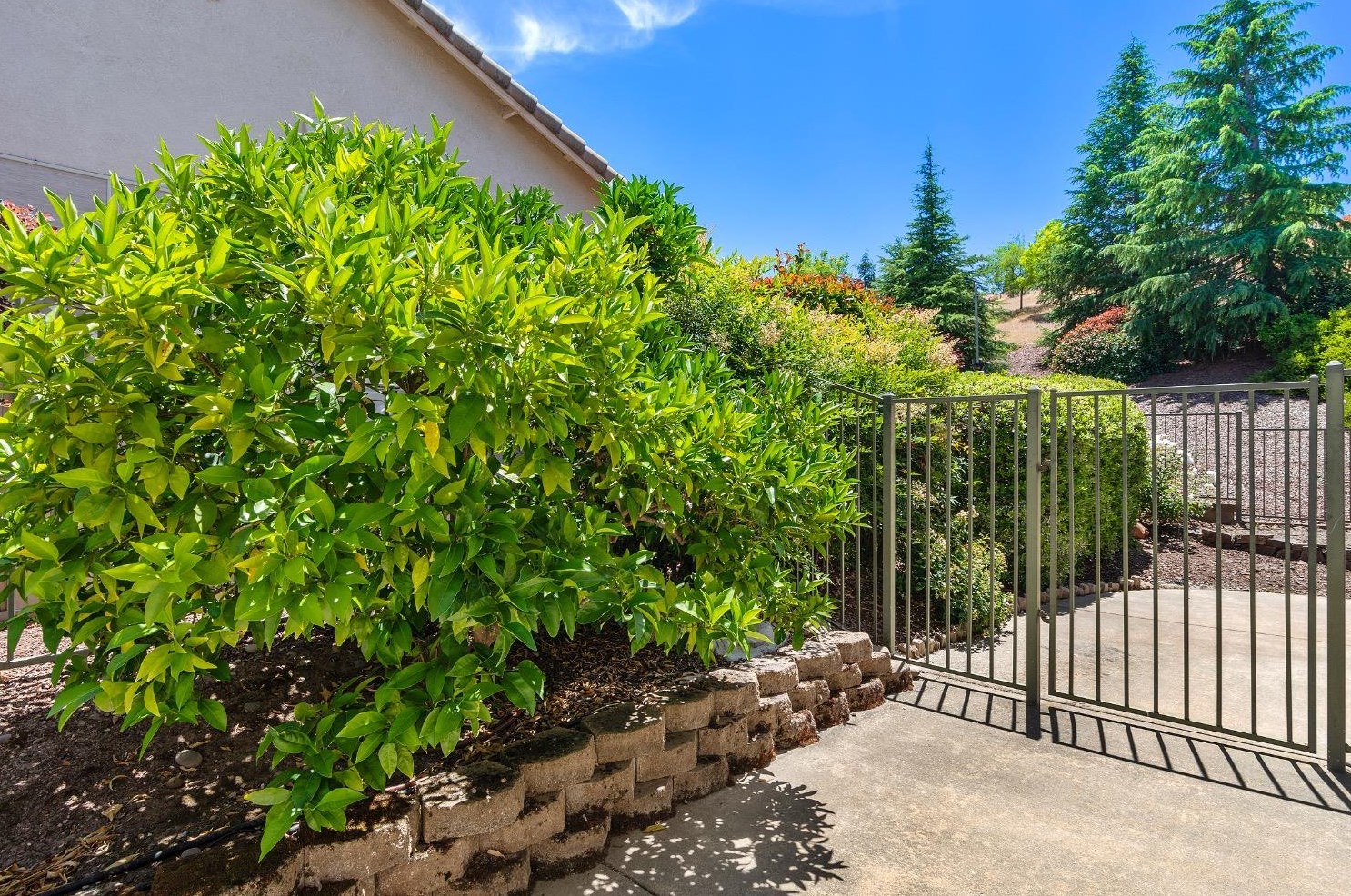 1573 Summerhill Ln, Lincoln CA  95648-8348 exterior