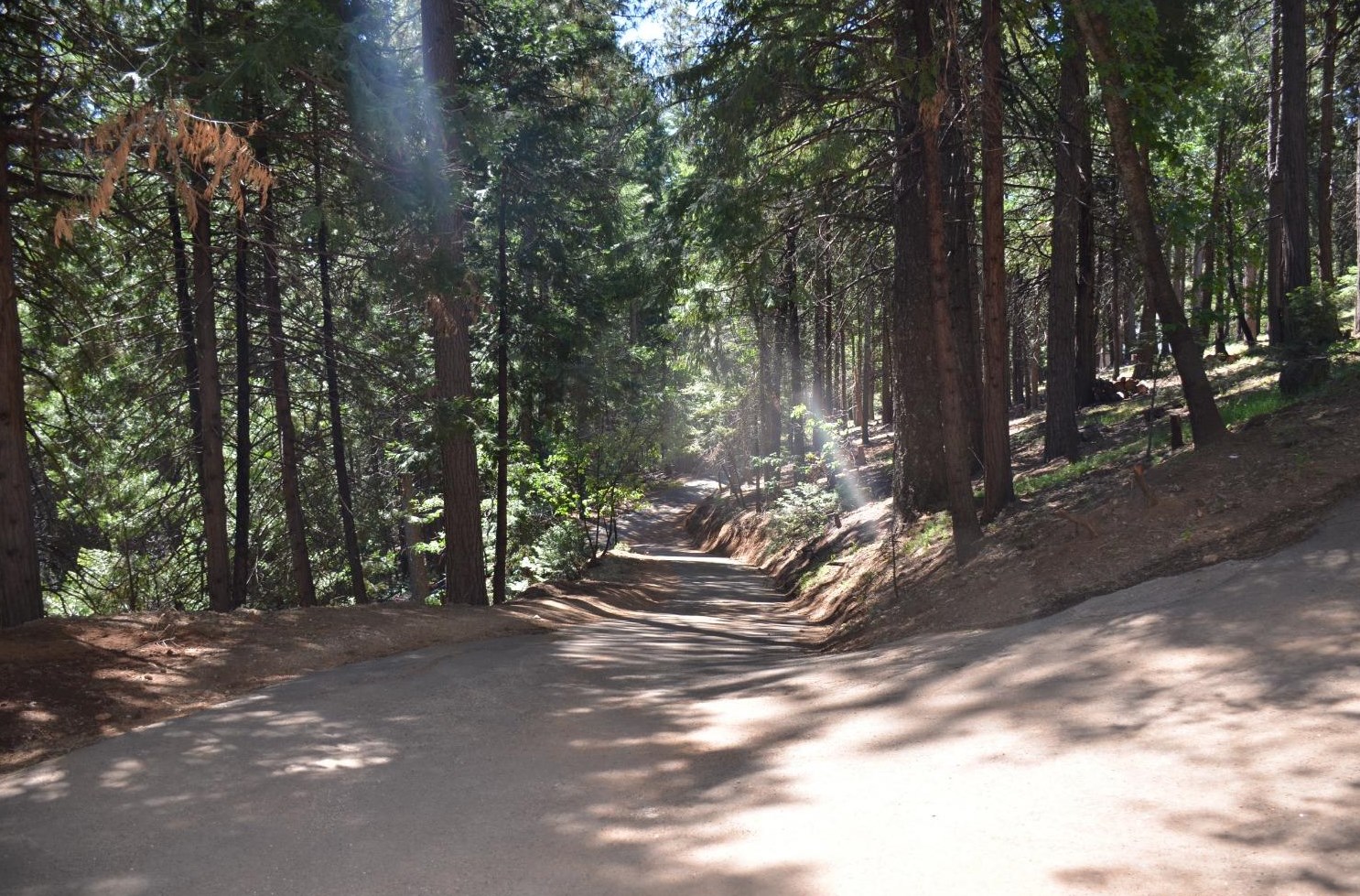 3261 Mountain Lake Dr, Pacific House, CA 95726