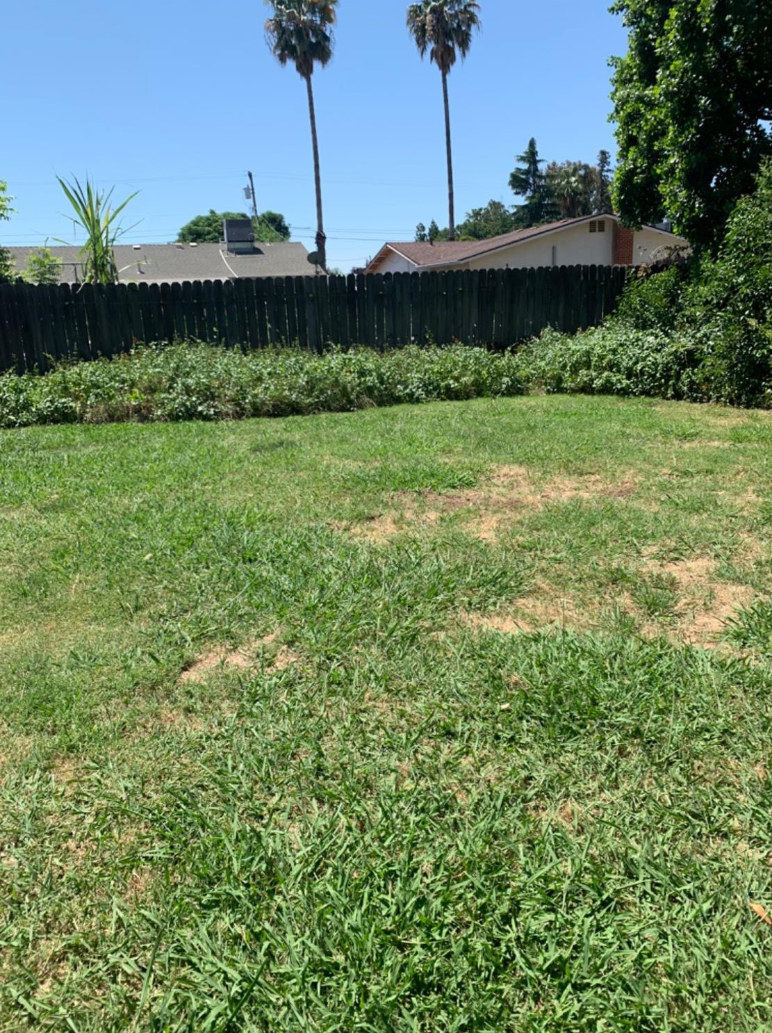 1400 Vernon Ave, Yuba City, CA 95993