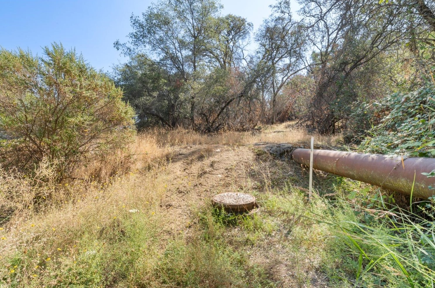 700 Kellogg St, Newcastle CA  95658-9701 exterior