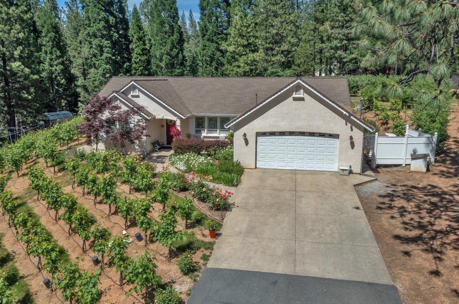 6250 Sly Park Rd, Swansboro Country, CA 95667