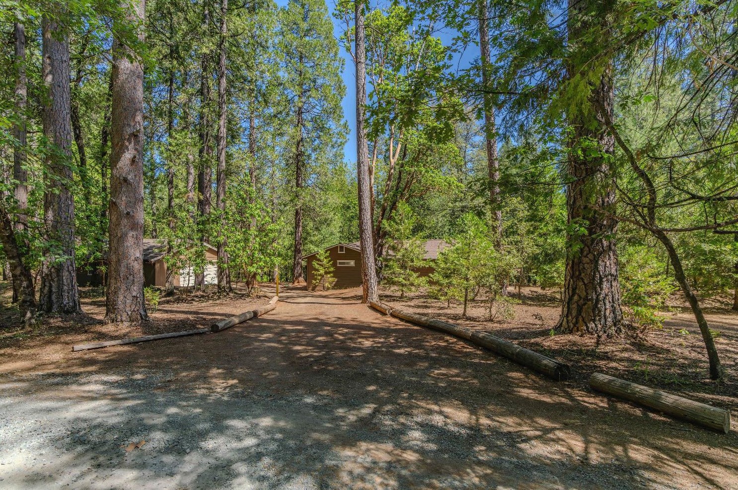 14611 Pine Grove Volcano Rd, Pine Grove, CA 95665