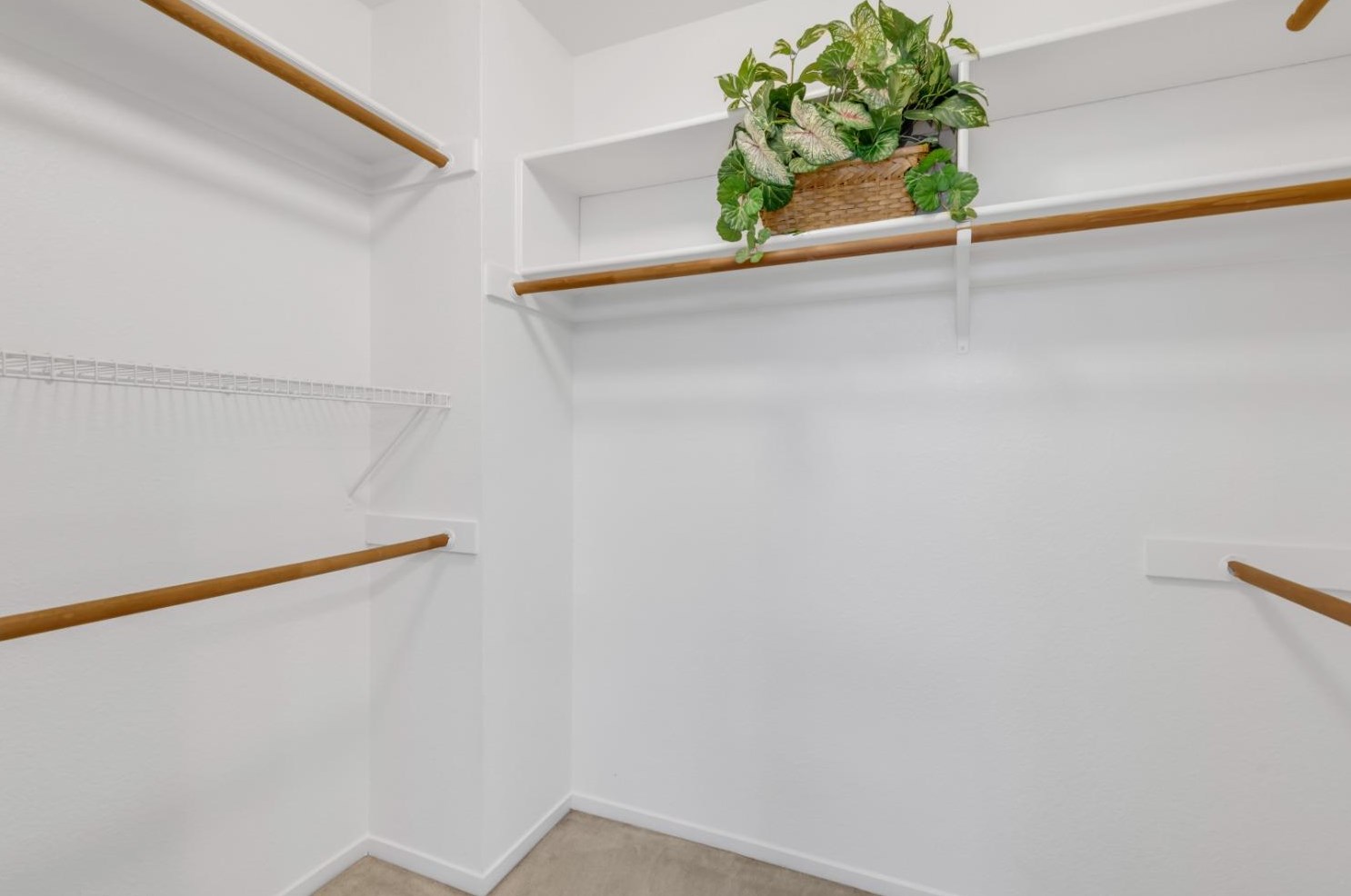 8425 Zachis Way, Sacramento CA  95843-5891 exterior