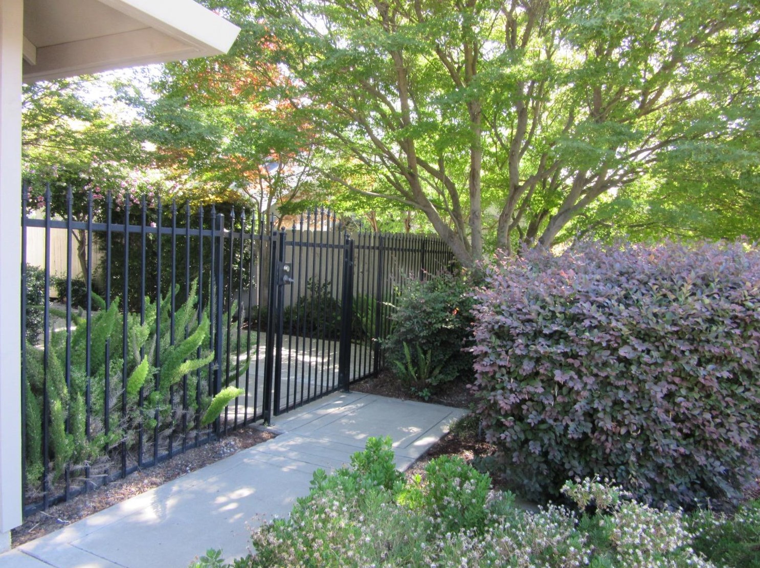 2429 Christiansen Ct, Modesto, CA 95355-3375