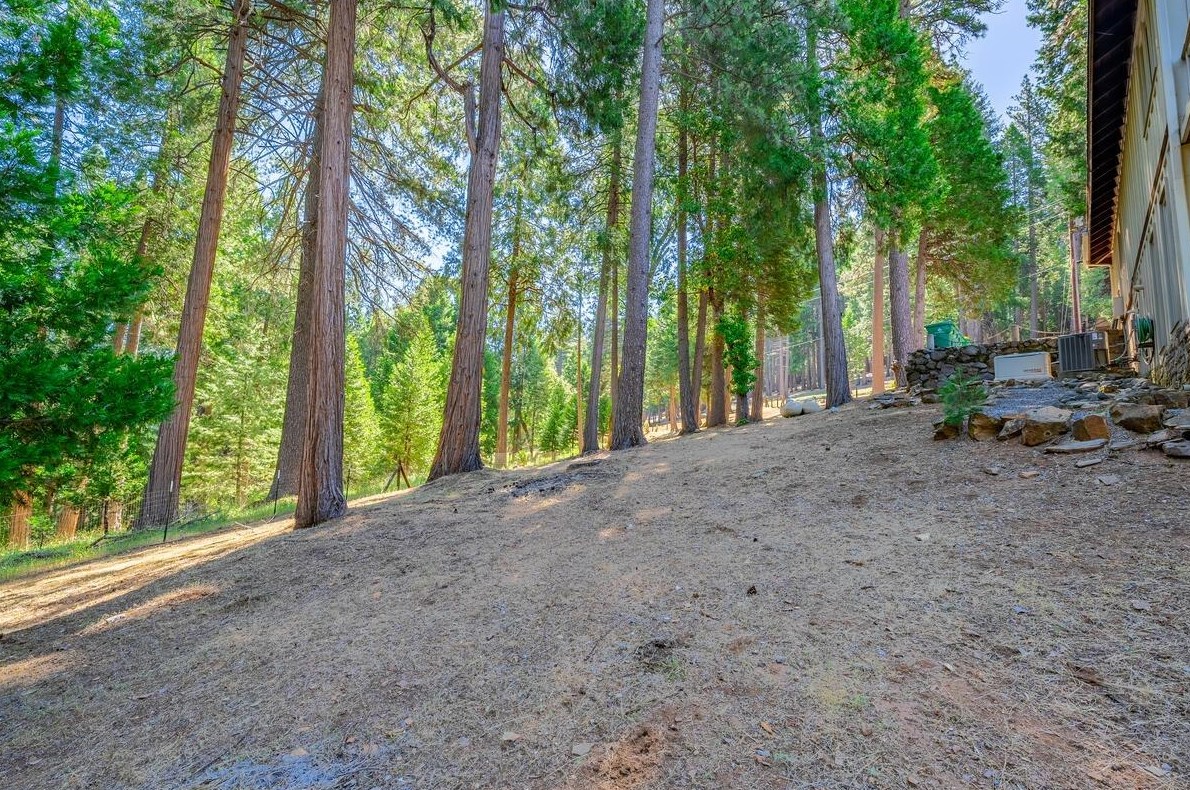 4340 Sierra Spg Dr, Pacific House CA  95726-9421 exterior
