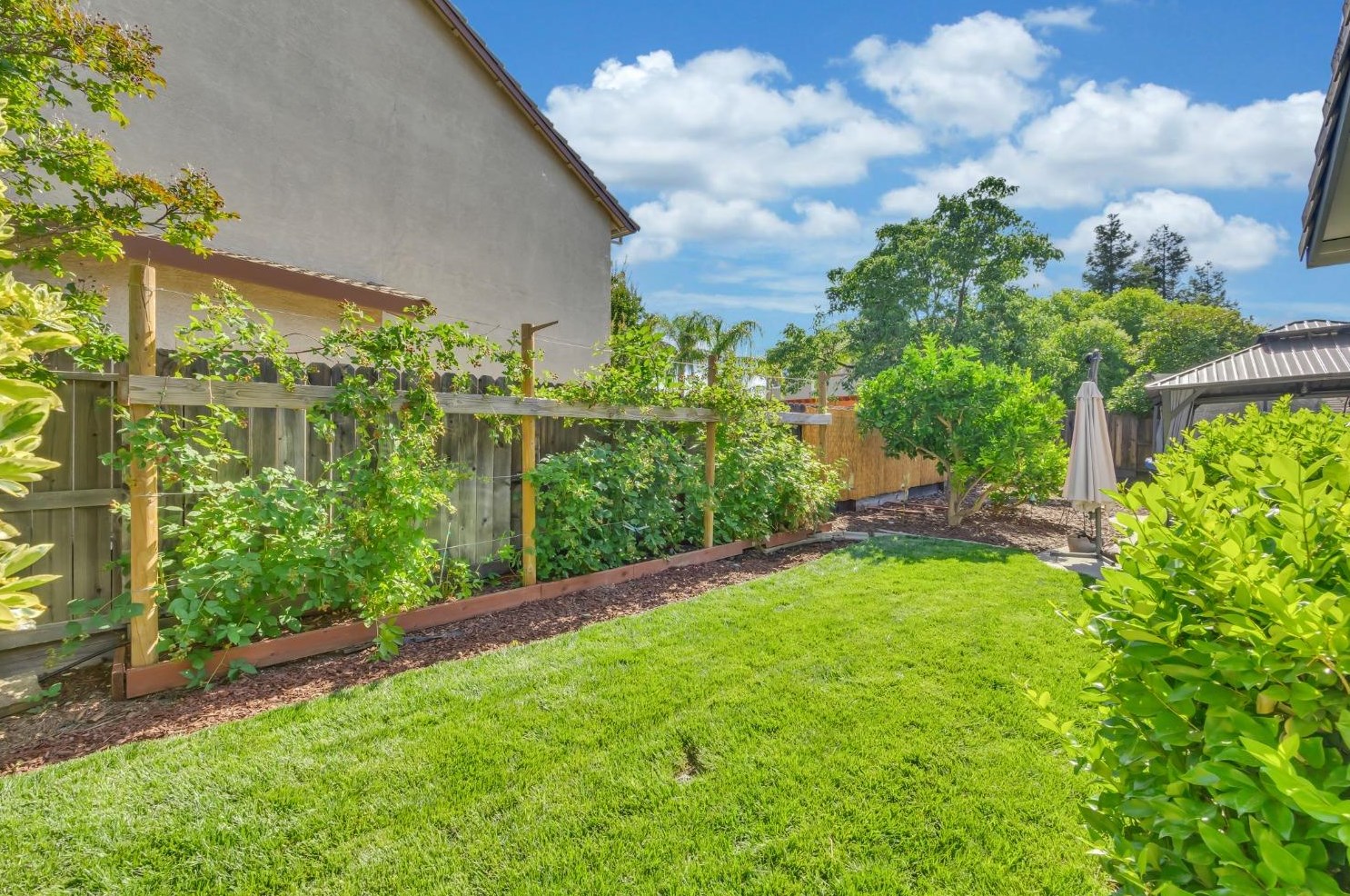 1908 Mckinley St, Rocklin CA  95765-5853 exterior