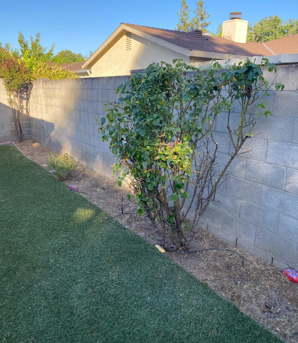7124 Sunbreeze Ln, Sacramento CA  95828-6263 exterior