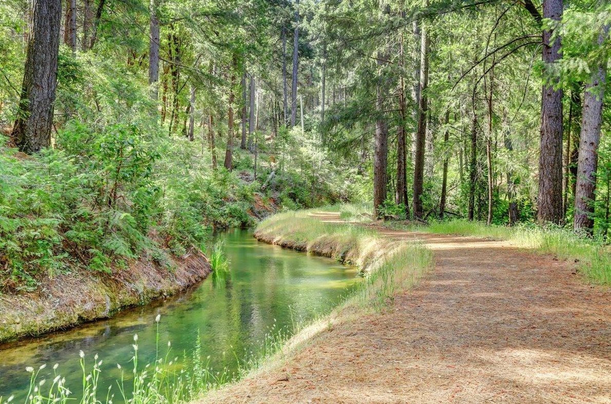 11916 Big Blue Rd, Cherokee, CA 95959