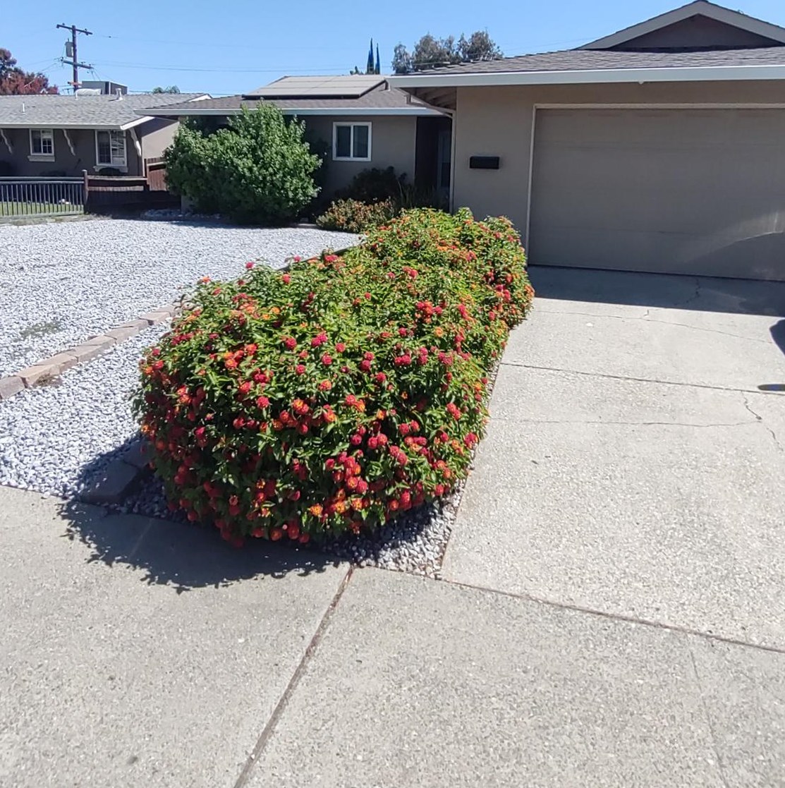 715 April Ln, Yuba City, CA 95991