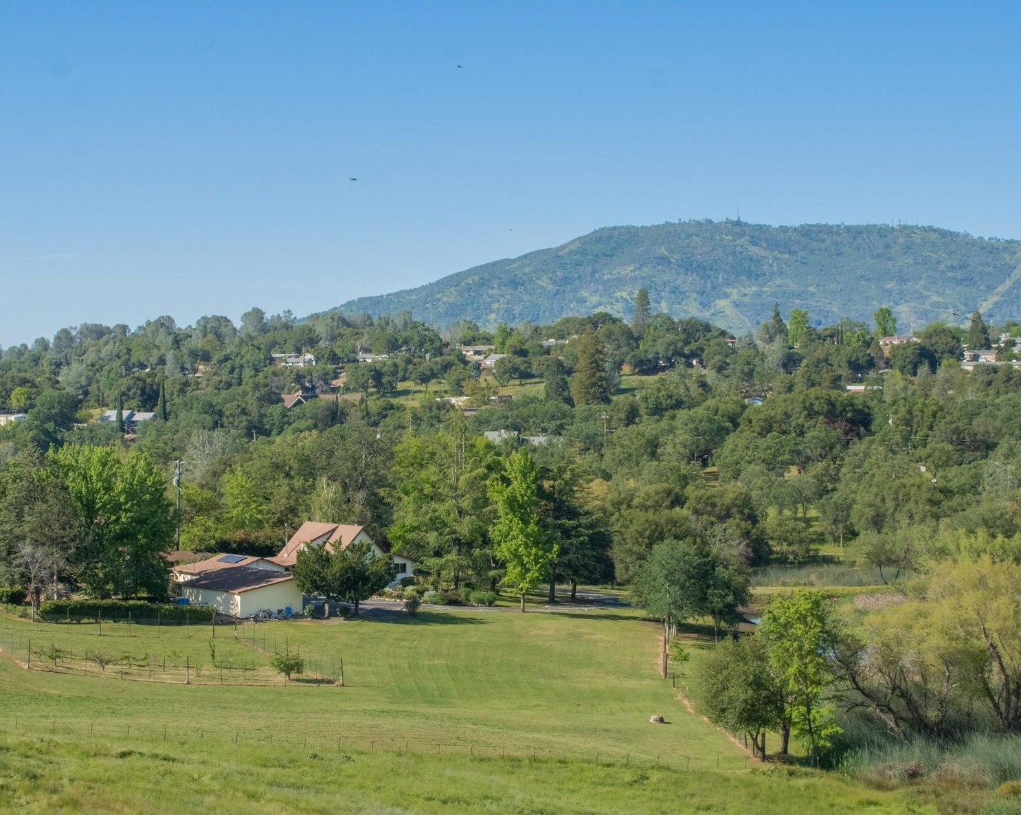 691 Purdy, Angels Camp, CA 95222