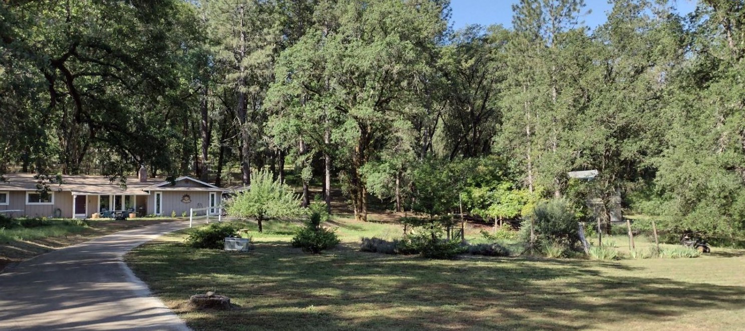 1555 Meadow Vista Rd, Meadow Vista, CA 95722-9473