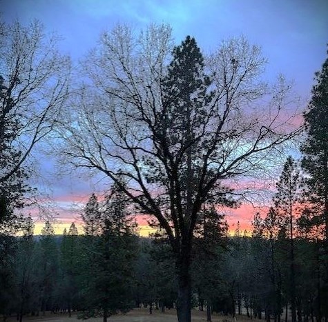 16563 Lake City Rd, Cherokee, CA 95959