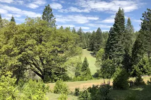 5110 Sly Park Rd, Pollock Pines, CA 95726 - Photo 48