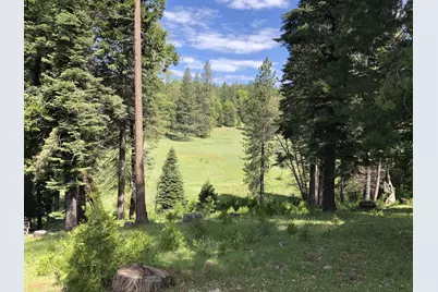 5110 Sly Park Road, Pollock Pines, CA 95726 - Photo 50