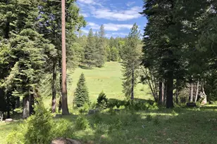 5110 Sly Park Rd, Pollock Pines, CA 95726 - Photo 50