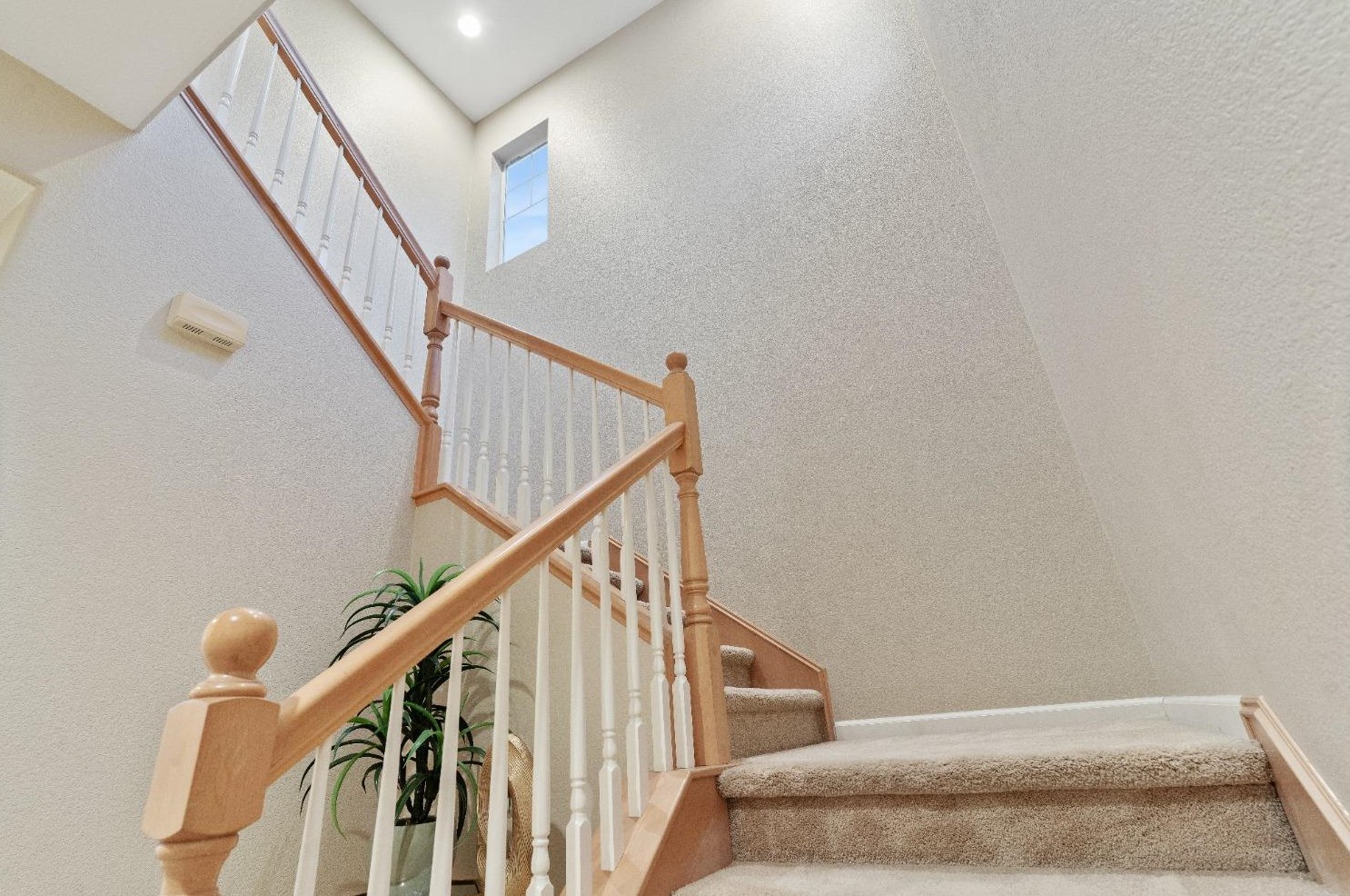 8206 Crystal Walk Cir, Elk Grove CA  95758-8081 exterior